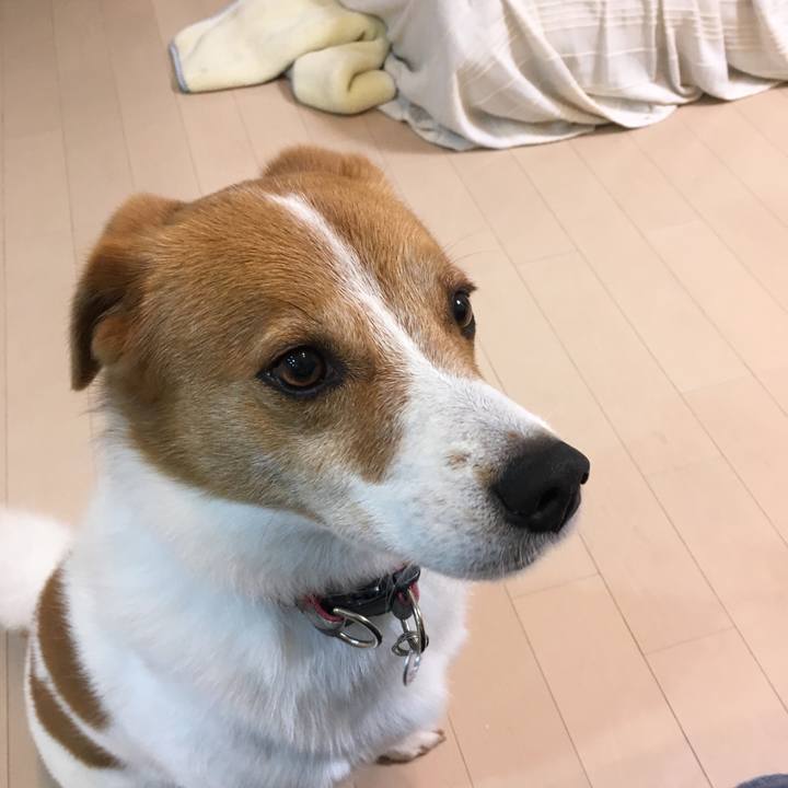 41e7e838 e8d2 4a3f 9da4 7b5b4e9e874b