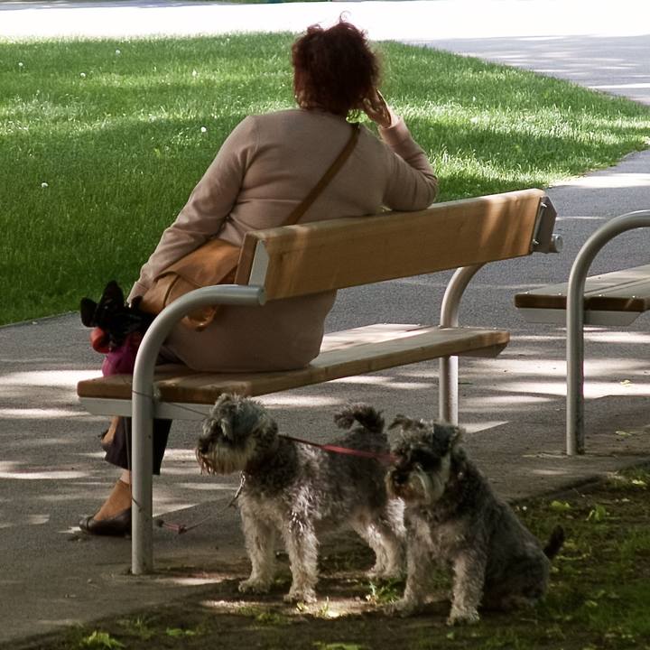 41e85db5 ef60 465d ae72 95126c67c1c0