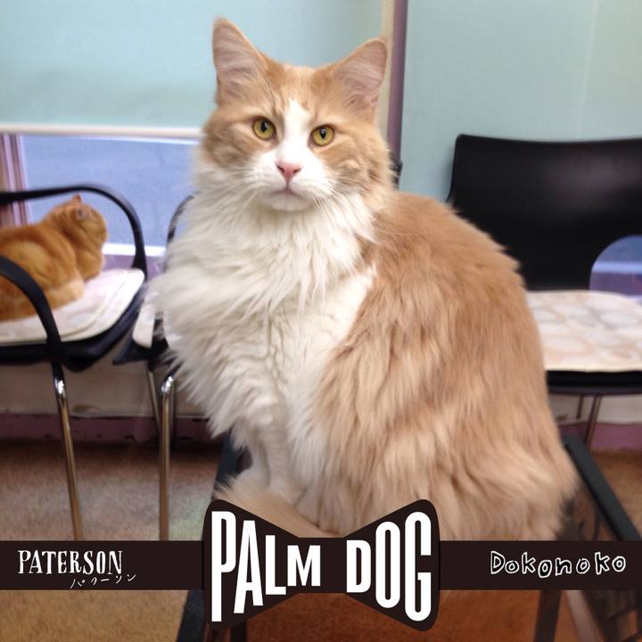 41e8623a dfa9 49ca b4d8 c176caf5de72