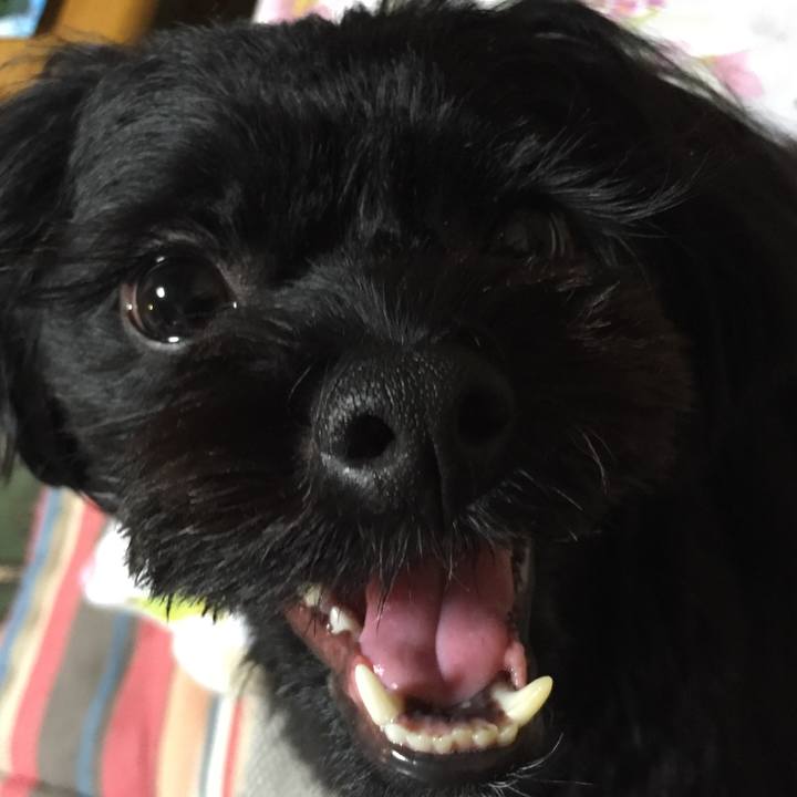 41e89c85 be90 49e6 a941 4d164ad71945