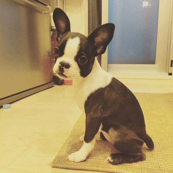 41e8bab0 6373 4c18 b694 9431eda57a17