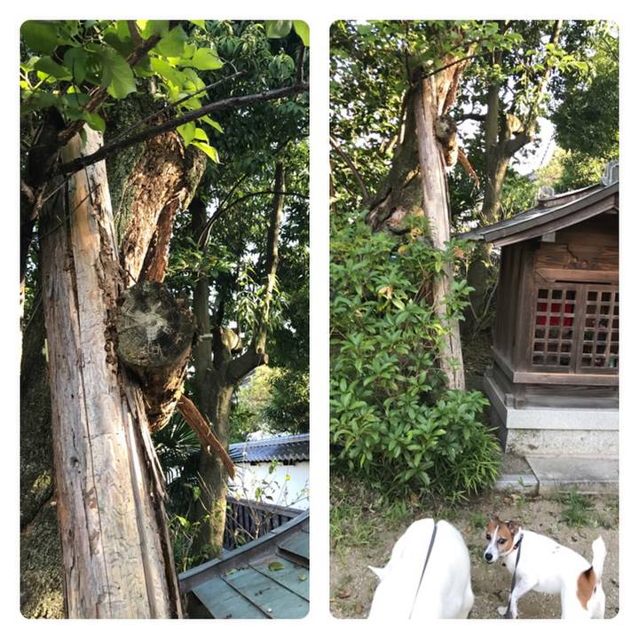 41e8c374 8ce4 446a 8b02 5247c85a20e4