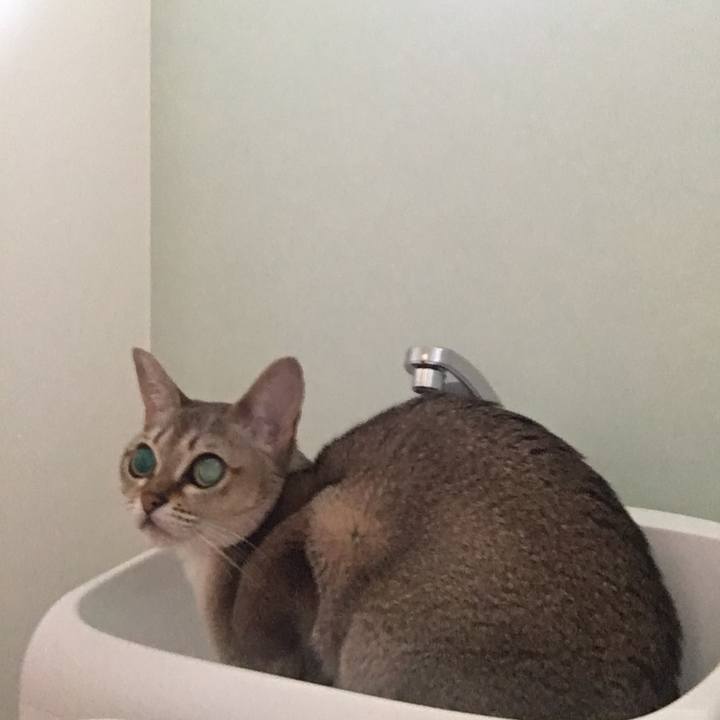 41e8f6a3 3dfe 46eb 9b76 c075475995b3