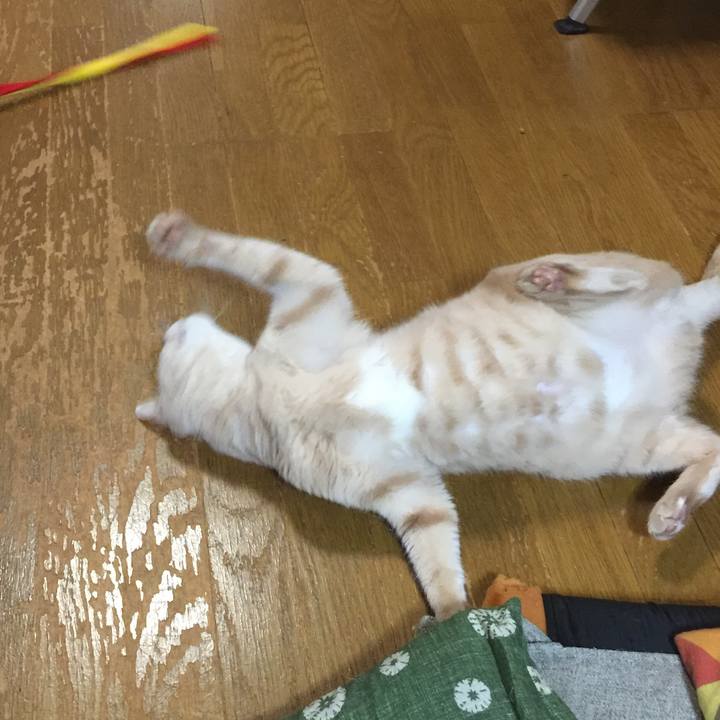 41e98a17 dac4 43b2 a9ac 037f1185c586