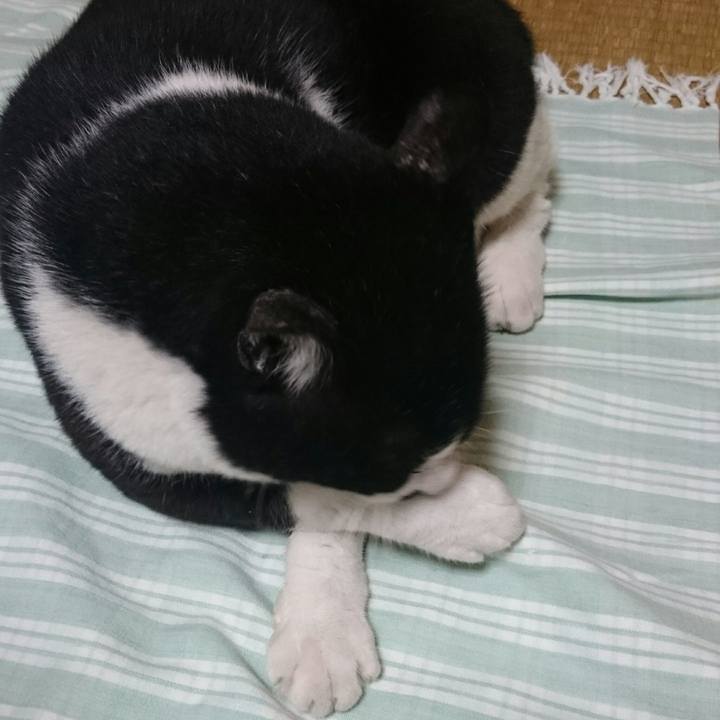 41e9b1a9 2f06 479e a24d 5a0450a30908