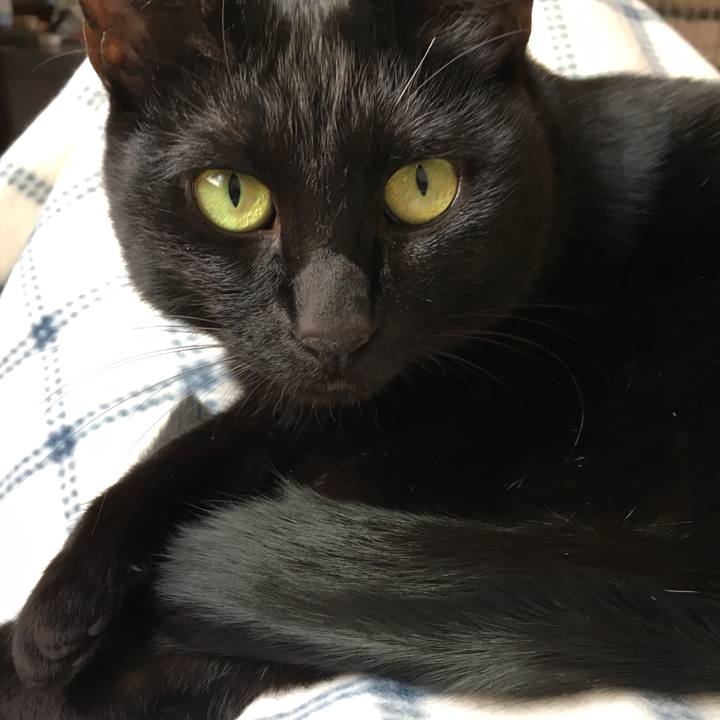 41ea3929 c1fa 4d02 8c0e dd60602f2db8