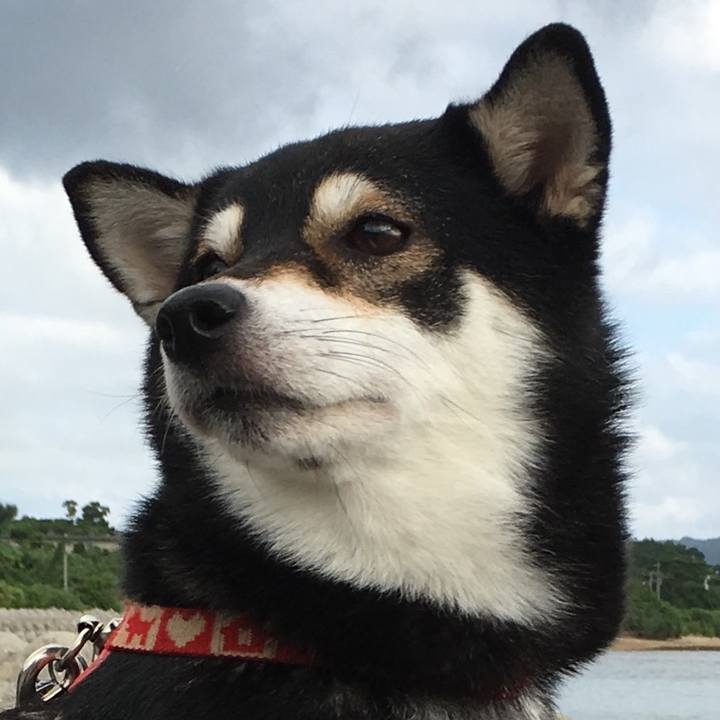 41eaacd5 5e52 4da2 9b80 23dca78c5d9e