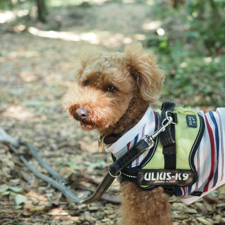 41eb25ed 1c53 42fd 8bdc 81907a54c171