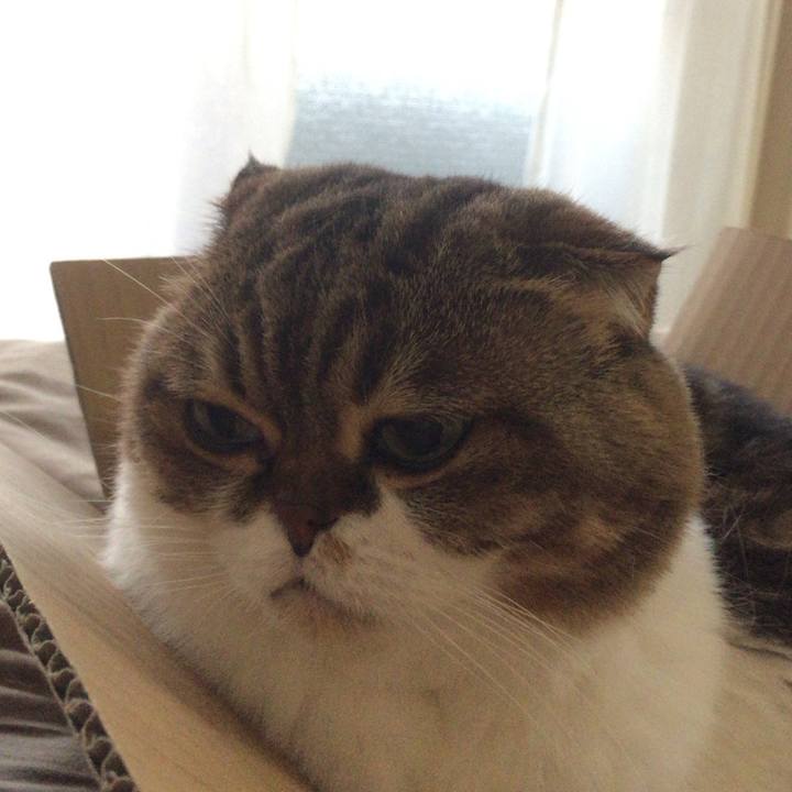 41eb46b2 1572 4bf5 9eb4 65ab27051573