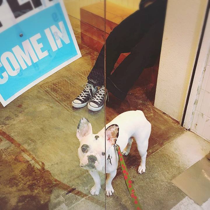 41ebd0a0 b6e1 4344 94da 61a7e1c0a763