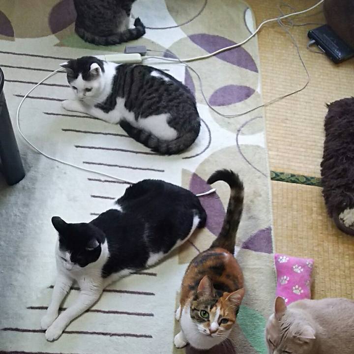 41ec1273 8e0e 490c acb3 8478007b217d