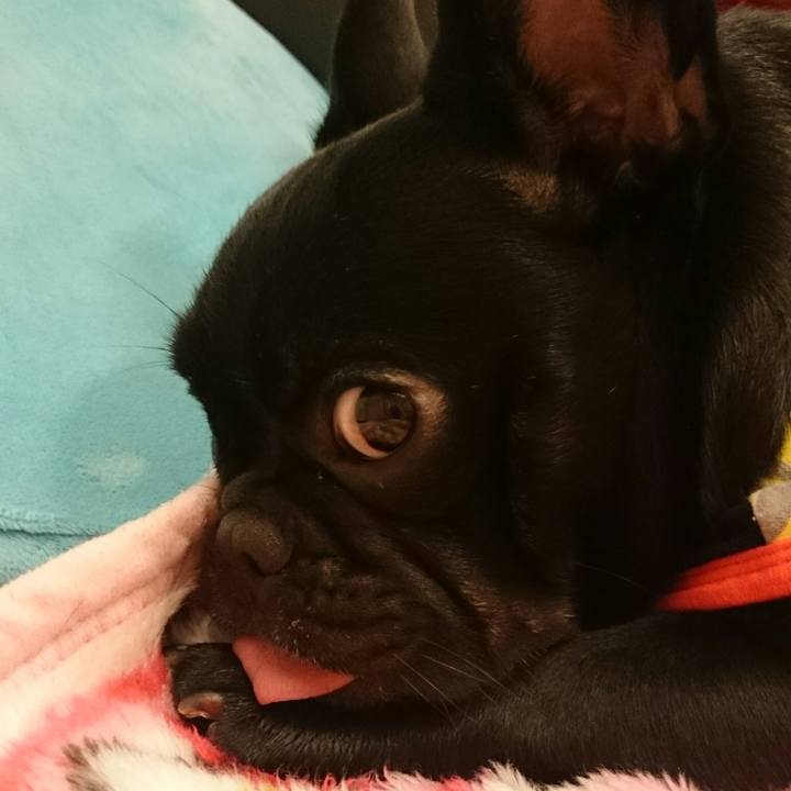 41ecdbe6 5bfa 42dc b349 f060d22fc579