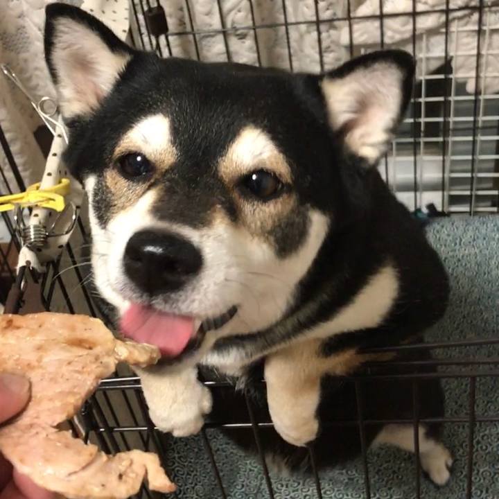 41ed940f 24c1 46e8 adfd 50937236d1a2