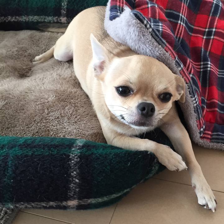 41edd8d4 142c 4969 9d49 7e23391d5b3d