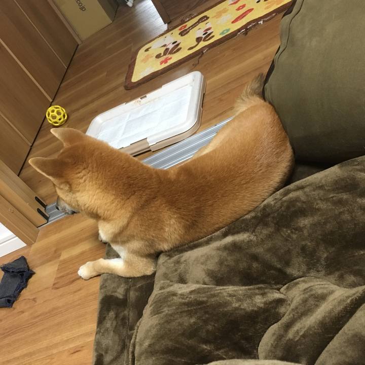 41ee15b2 e84a 495f 8f1d 7097952e31aa