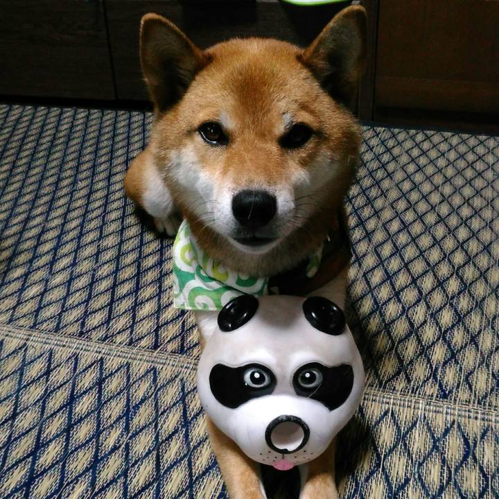 41ee8b78 4bf7 45e7 af60 b7418a86e6c2