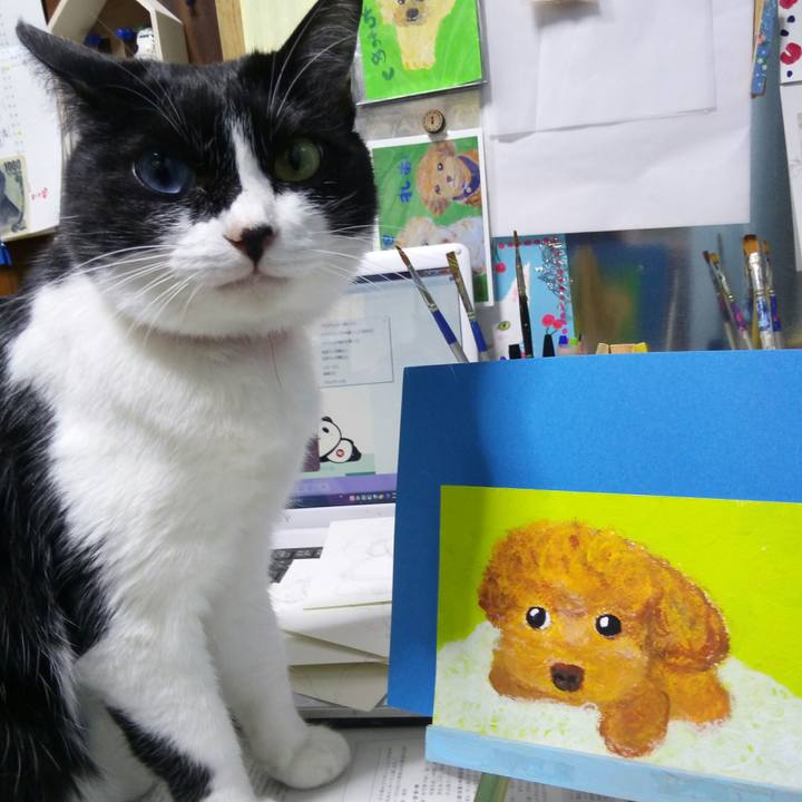 41ee99d6 83a0 45de 8147 b88388d07df7