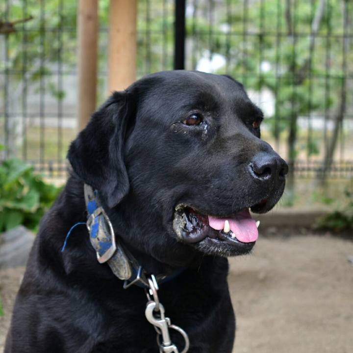 41efc041 4a9d 4c49 a8d0 187971e843d7