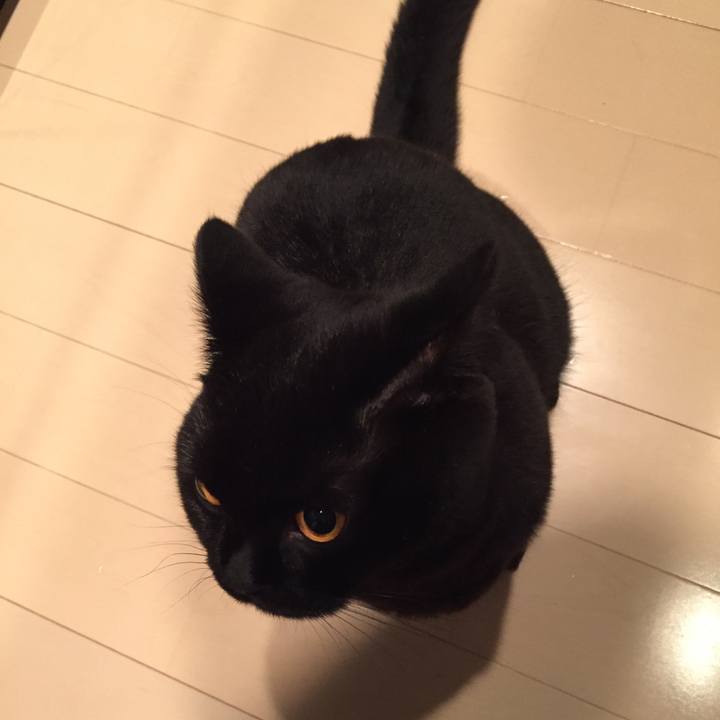 41f0bf24 c15e 4dbc 9323 8c4519aeff0a