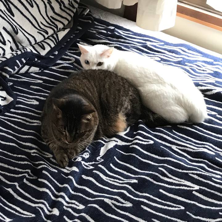 41f27393 2b5a 4cce 9b39 0b5ca3766212