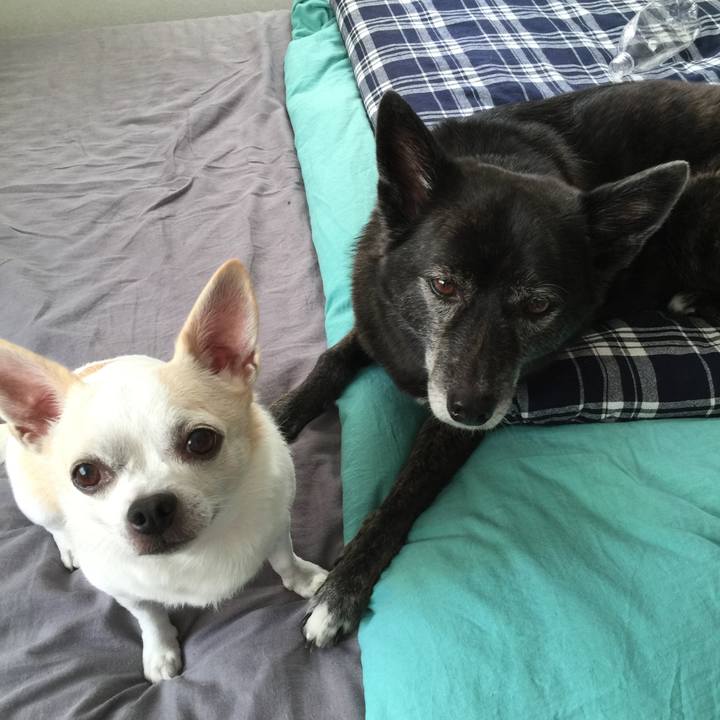 41f2cf61 1013 4cd4 9215 6b63c4d7a756