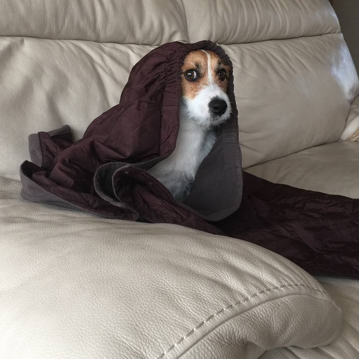 41f2df78 e56d 4370 9e22 5fd68f18f77e