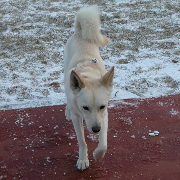 41f3444c 9296 4366 ad1a 0363101ddfd8