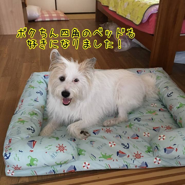 41f3522b 8844 4094 9eb6 cc6b90d23093