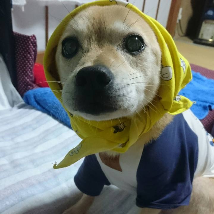 41f3f975 293e 4f81 9e40 e1d17be8bd97