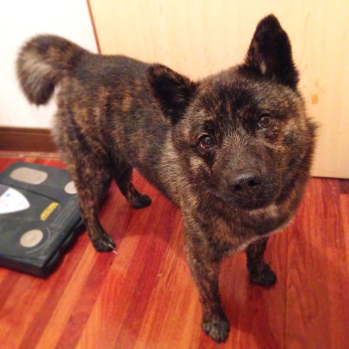 41f454f8 7aee 4fa9 946d c121a0dbcd99