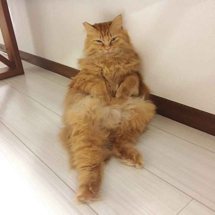 41f587ad 1b2d 4f46 a273 7c4ea7e9c7e9