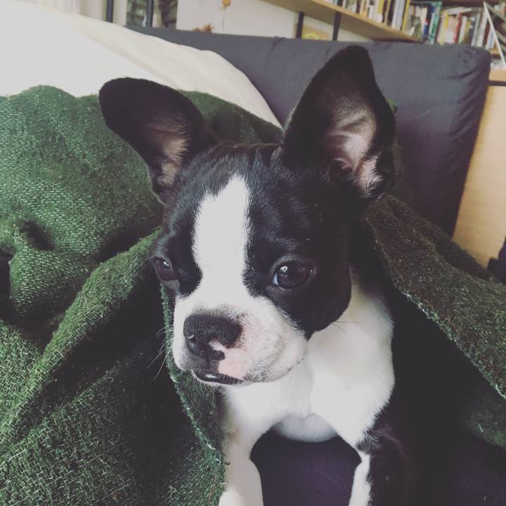 41f5e00f 980f 4e87 ab31 9f77f90504ca