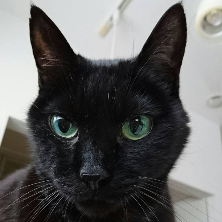 41f6730b 4b58 4a6b 8f6e a11a7232a3bc