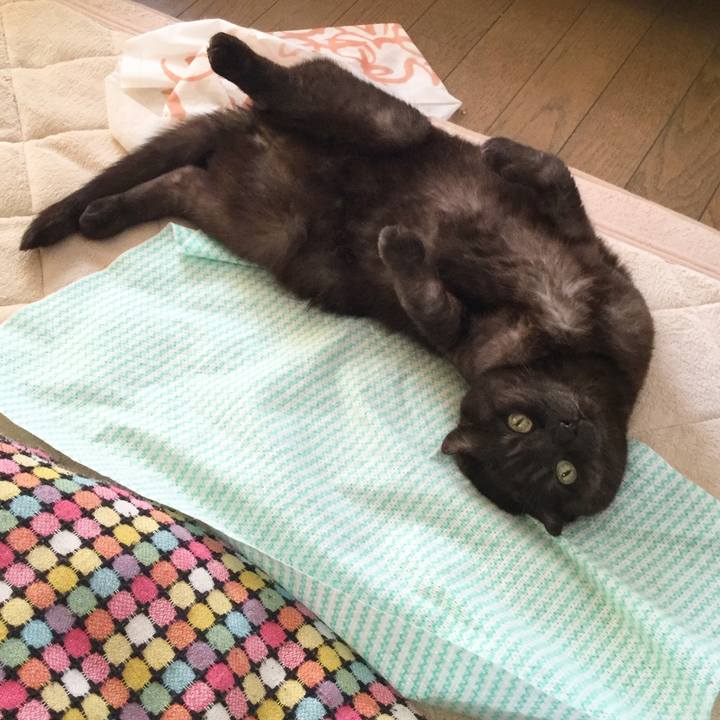 41f812eb e583 43a2 91f9 daccb7e73937