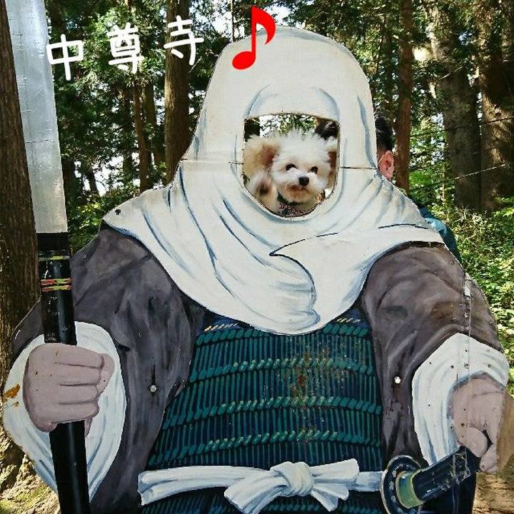 41f84b34 9f99 4863 b8b2 b071d3772b57