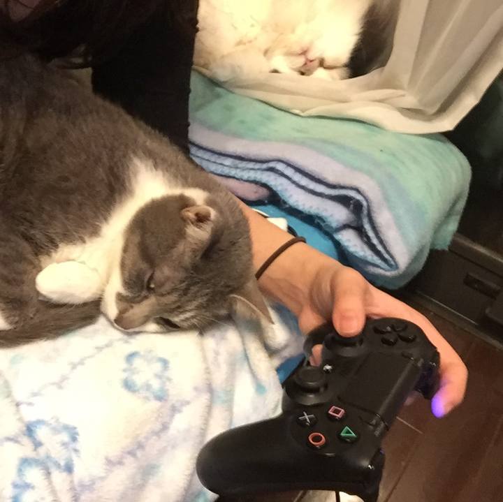 41f86a16 b045 428d b97b 37e57f9621e7