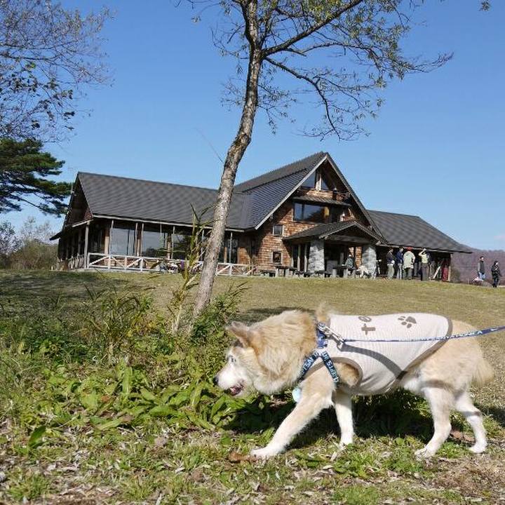 41f878c9 89d6 4c8c 85e6 8cc4c51dc498