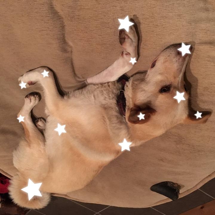 41f897a3 535a 4095 98f6 19f66a1692f8