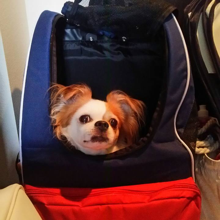 41f8d656 f136 4ac8 9255 294c724a9299