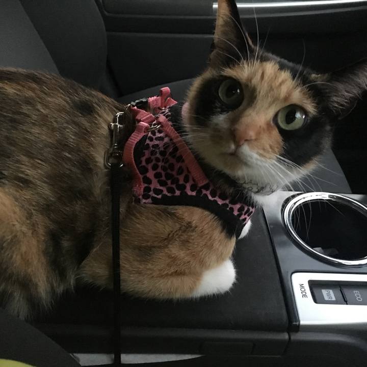 41f8e8c7 304c 465c 84f3 39dad49db735