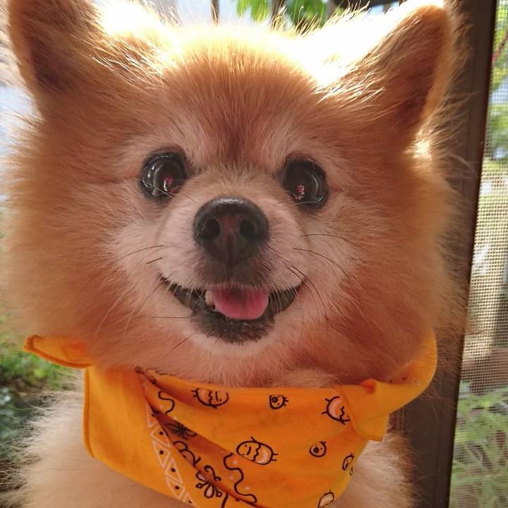 41f8ef29 791a 4b62 bcdf c9727540084a