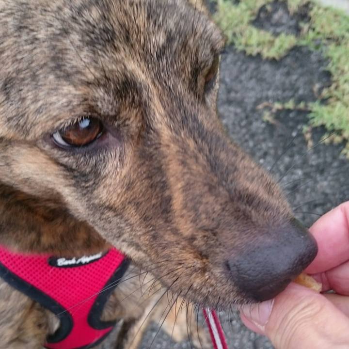 41f8fac8 b8b3 4596 8d5b 12e9689ad17b