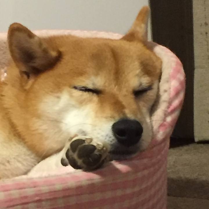 41f93984 6be4 4387 ad27 3230b531cc7e