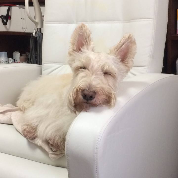 41f9f70a 1008 4eb0 9d59 37cb77858b6f