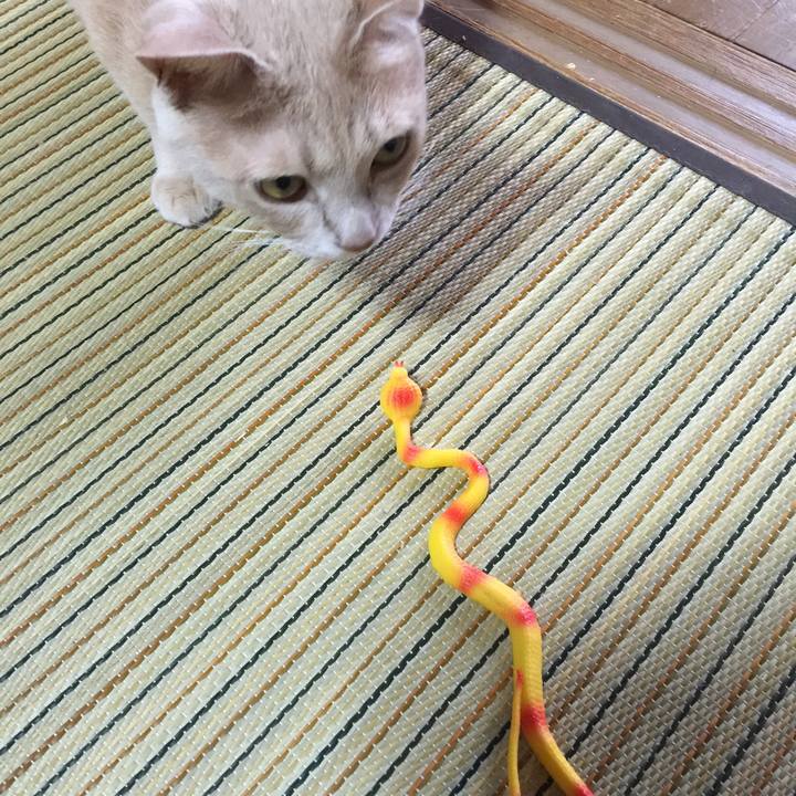 41f9f9f1 f77d 42eb 86f7 4ffc9bff34d4