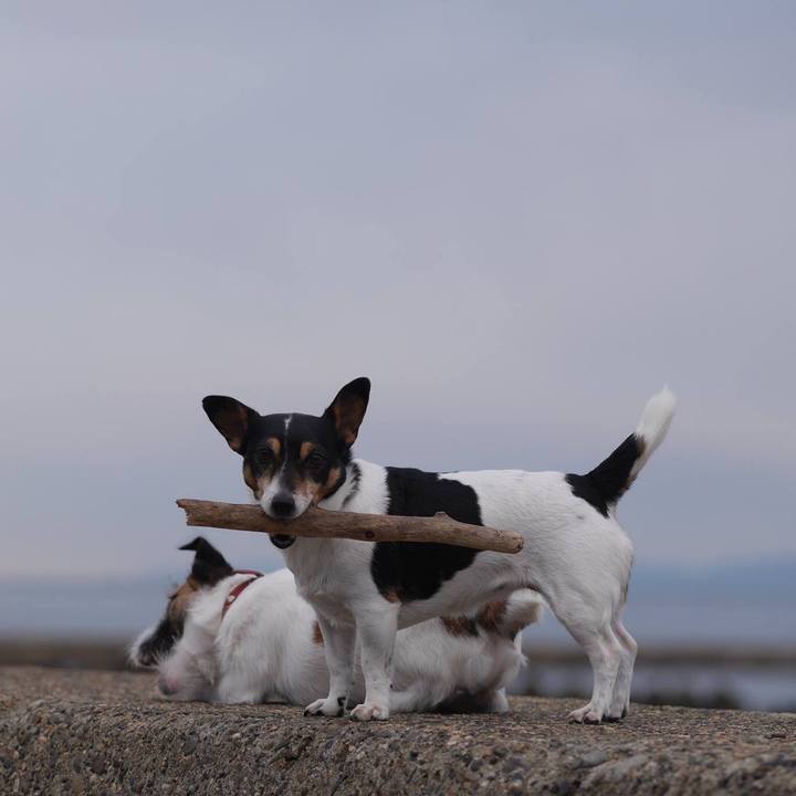 41fa3816 0fc2 42dc 80f6 5ff21afaa775