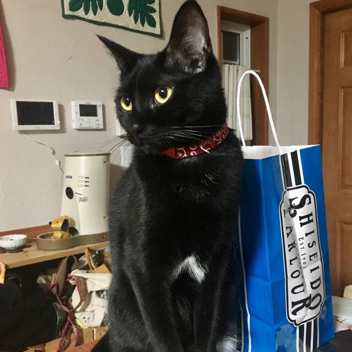 41faf5ff fe8b 420f ba08 e1d508002392