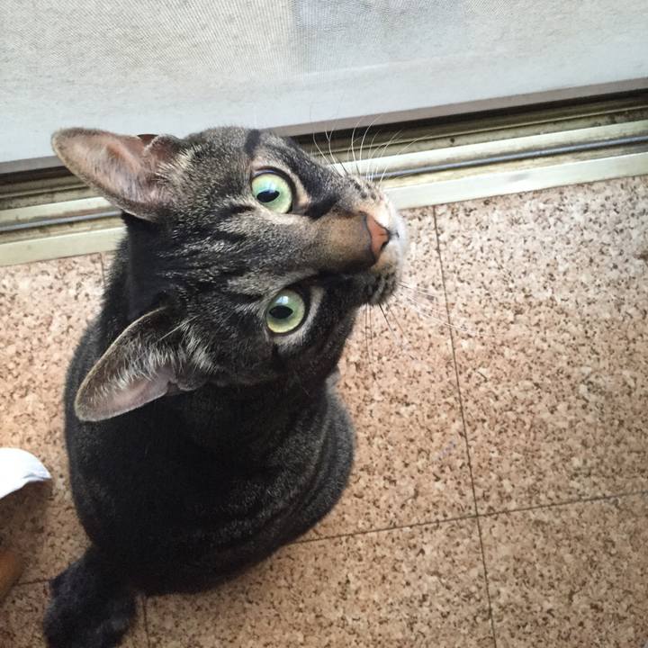 41fb52da 460a 4a45 ab38 f8713594e33f