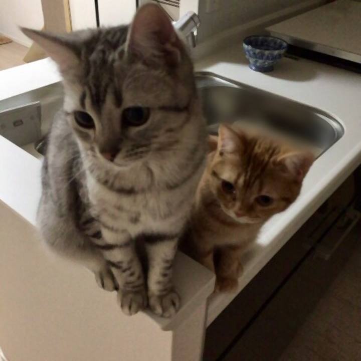 41fb99f5 a7e8 40cd b26a b59c54c29782