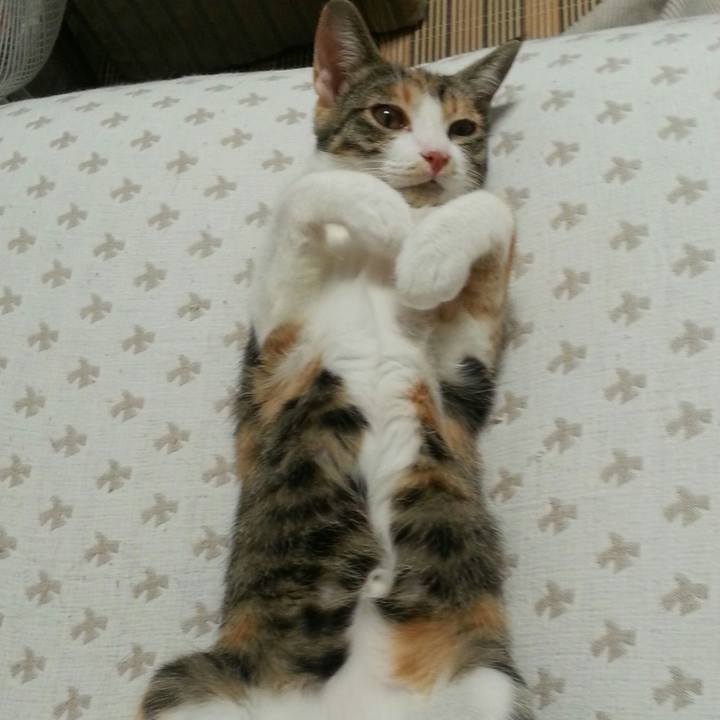 41fc0c01 971b 4758 915b 2536d53d4e98